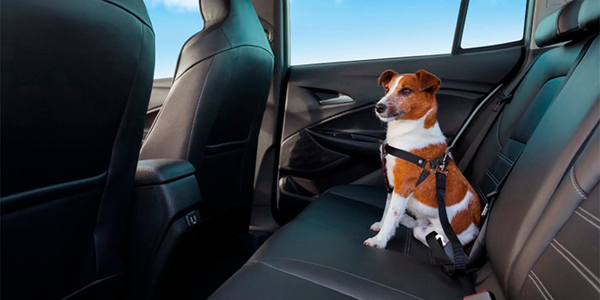 Onix Plus 2027 com extensor de cinto de segurança para pet